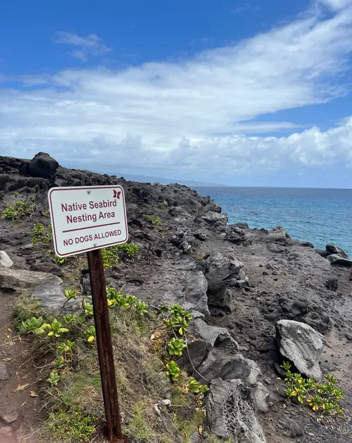Kapalua Coastal Trail