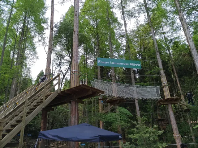 Forest Adventure - Beppu