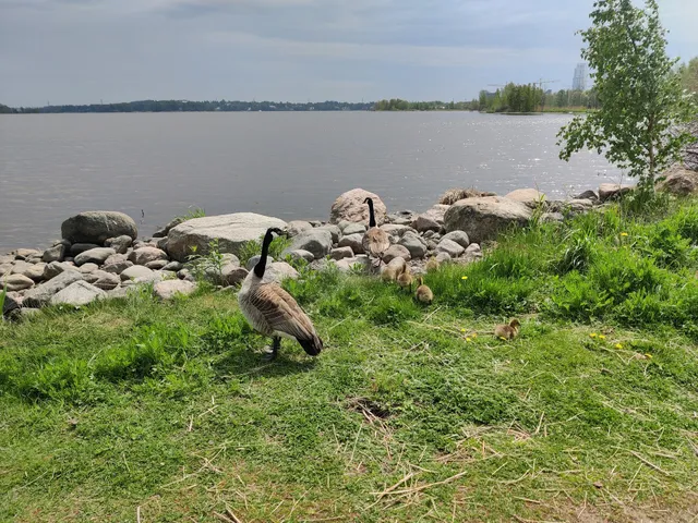 Toukola Seaside Park