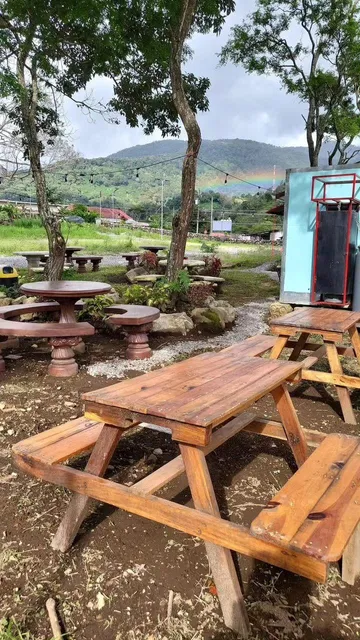 Patrón del Shawarma