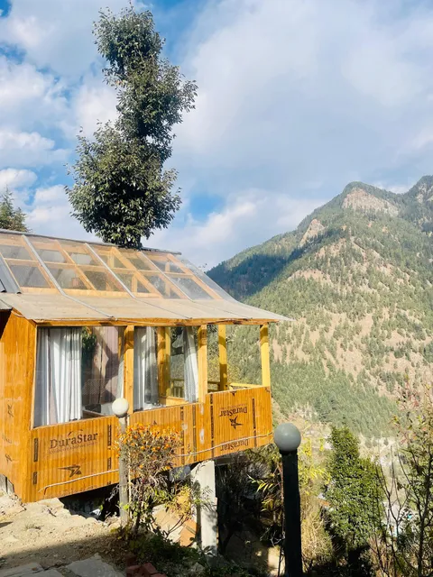 Mountain Pine Majesty