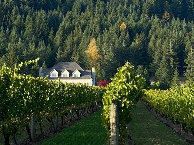 Cardwell Hill Cellars