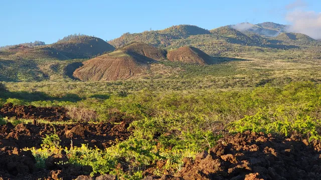 Ahihi-Kinau Natural Reserve