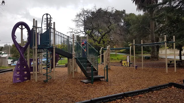Playground near blackberry pool