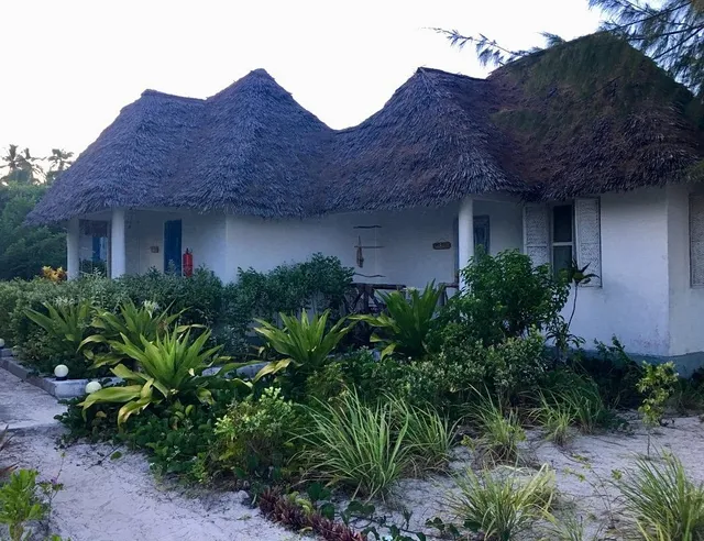 Driftwood Beach Lodge