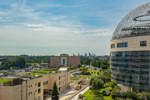 Vita-Salute San Raffaele University