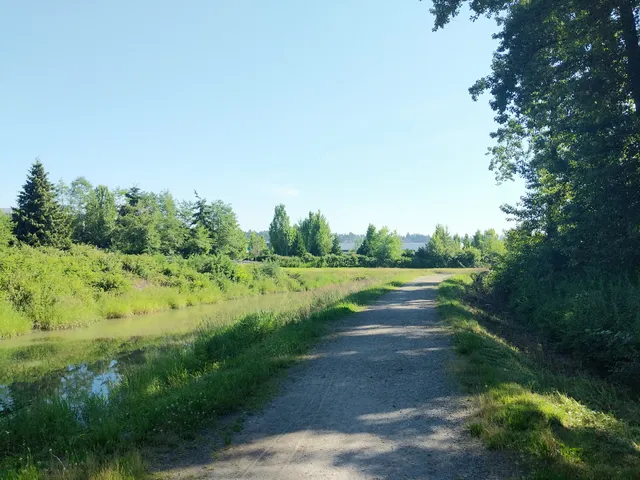 Burnaby Fraser Foreshore Off-Leash Dog Area