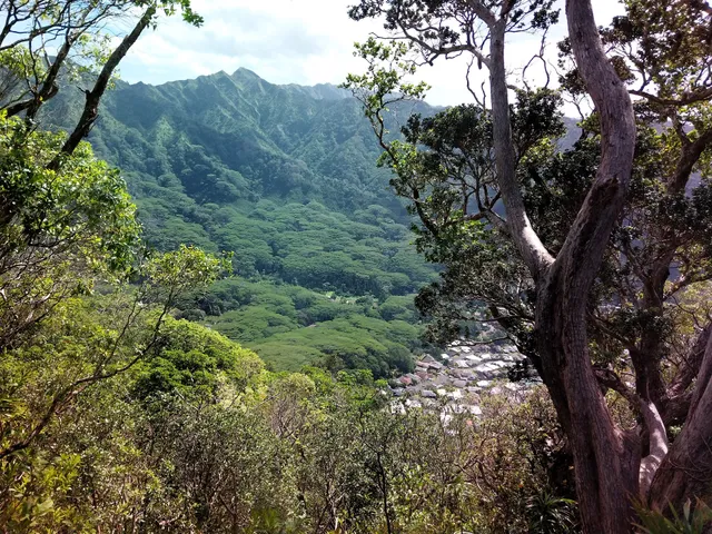 Manoa Cliff Trailhead