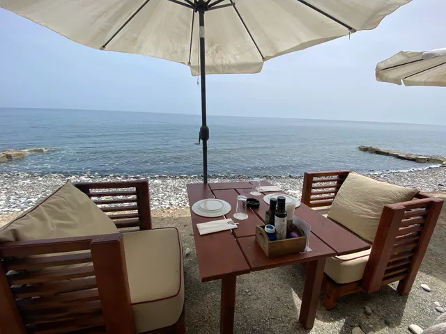 OLD ZYGI ,Fish Tavern