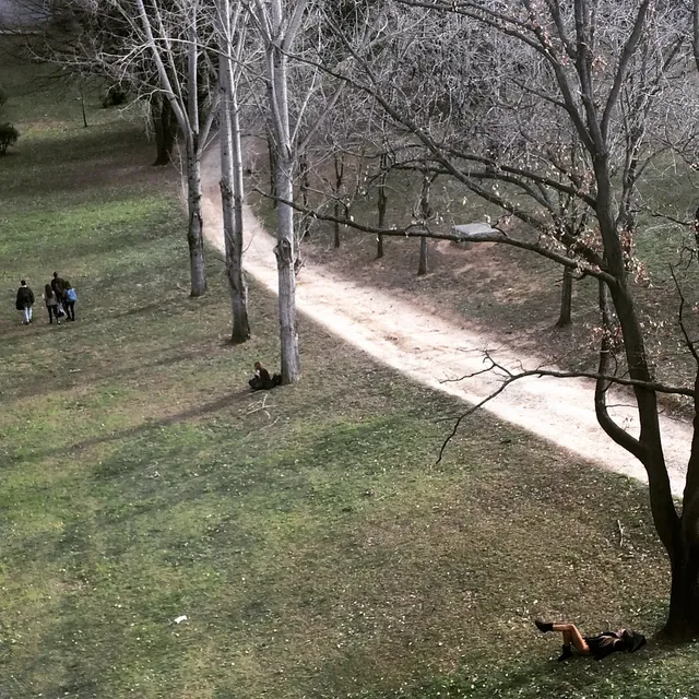 Cafeteria of the Faculty of Social Sciences