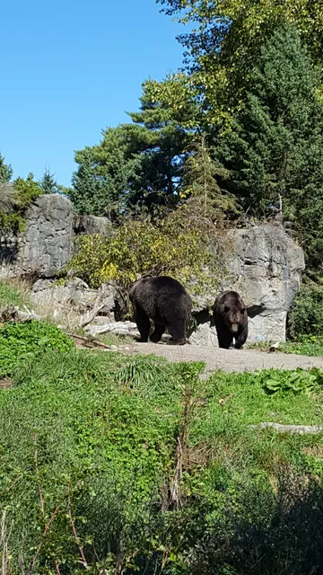 River Otter Exhibit