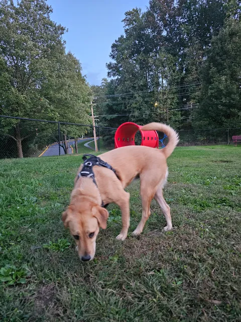 Bonnie Ridge Dog Park