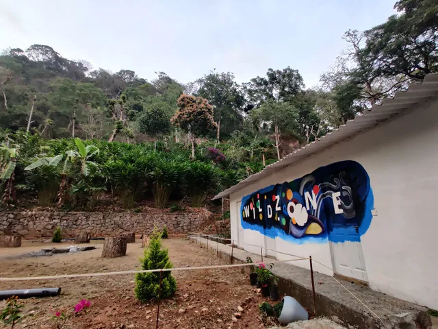 Emarald Estate Bungalow Munnar