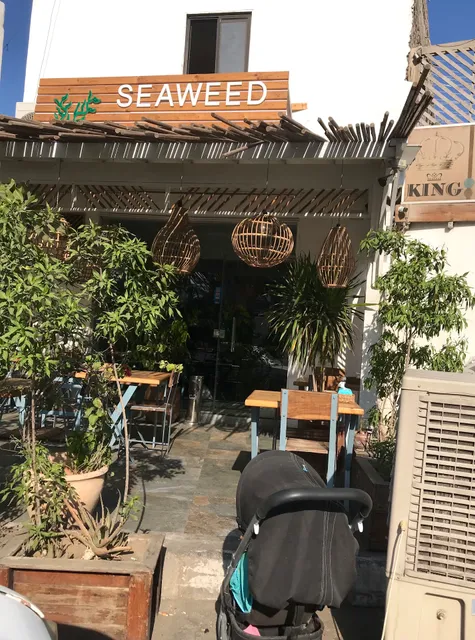 Seaweed sushi bar