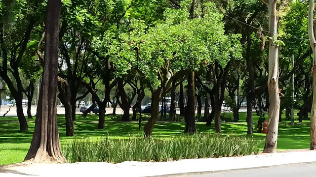 Gustavo A. Madero Park