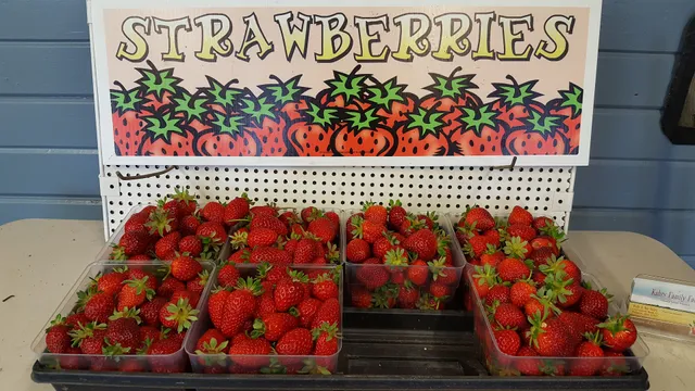 Kahrs Market and Greenhouse