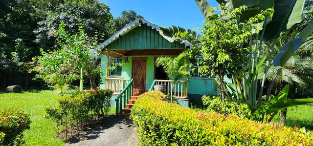 OYO Dooars Green Resort