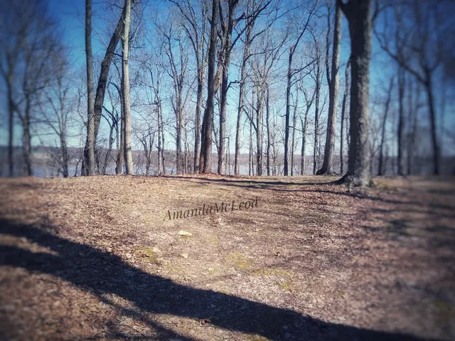 Ramey Overlook - Land Between the Lakes