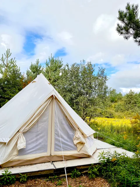 Lifestyles Management Yurt Village