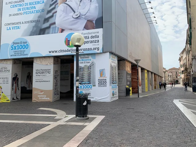 Dev (Tod's Hogan Fay)