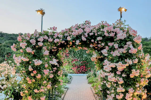 Rose Garden