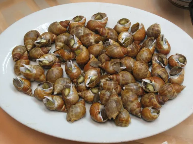 新不夜天乳鸽王海鲜酒楼