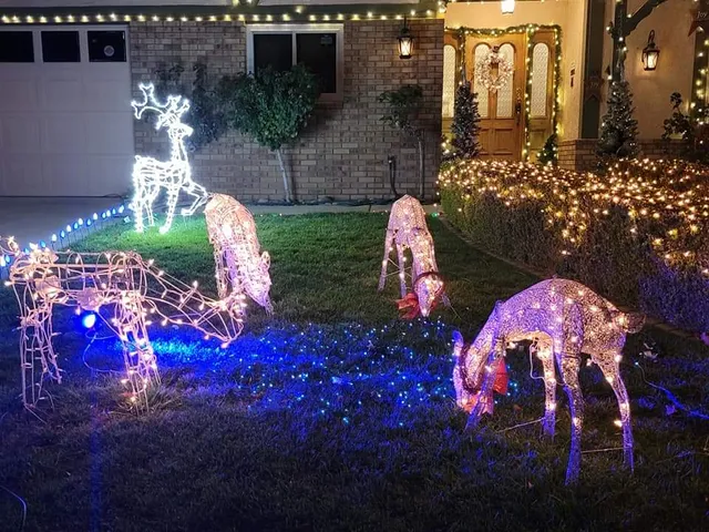 Candy Cane Ln (Holiday Lights)