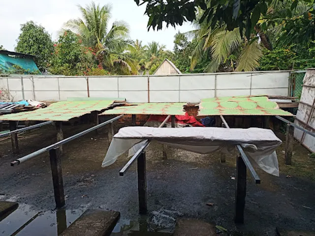 Rice Noodles Pizza Sau Hoai