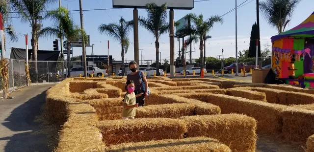 Shawn's Christmas Trees- Opening Nov. 28th, 2025