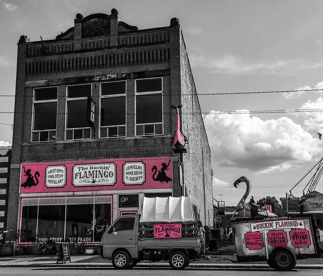 The Buckin' Flamingo