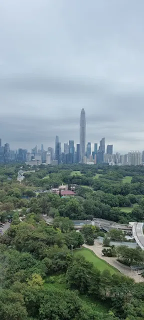 JW Marriott Hotel Shenzhen Parking Lot