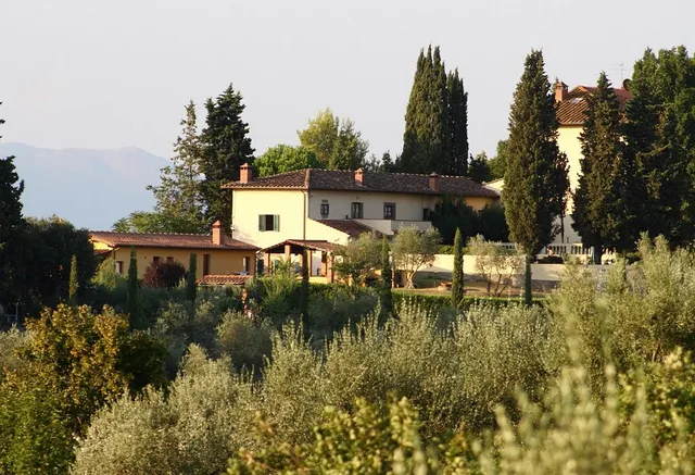 Societa' agricola Madonnina Del Chiaro - Villa Damiani