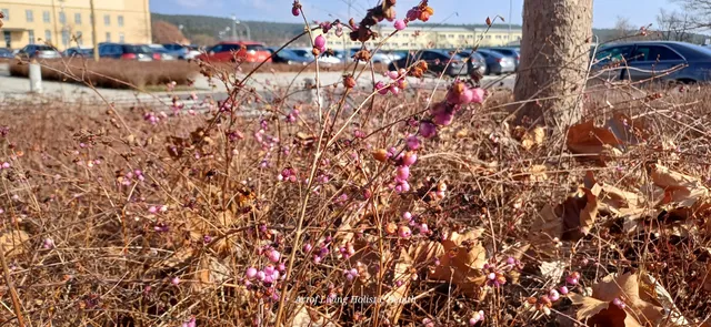 USAG Bavaria Housing Office