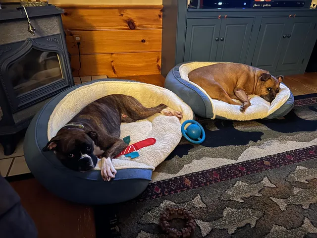 Henniker Veterinary Hospital