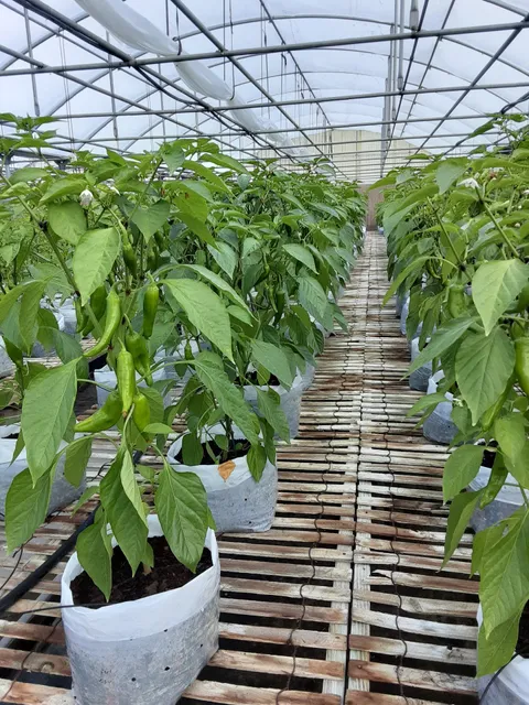 All Seasons Fresh Produce LLC