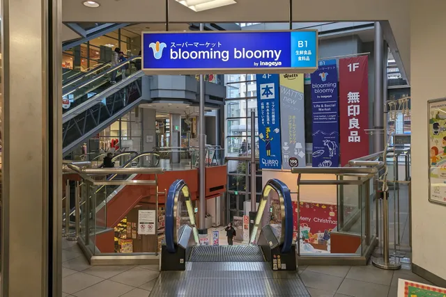 blooming bloomy