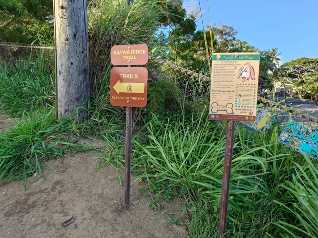 Lanikai Pillbox Trail