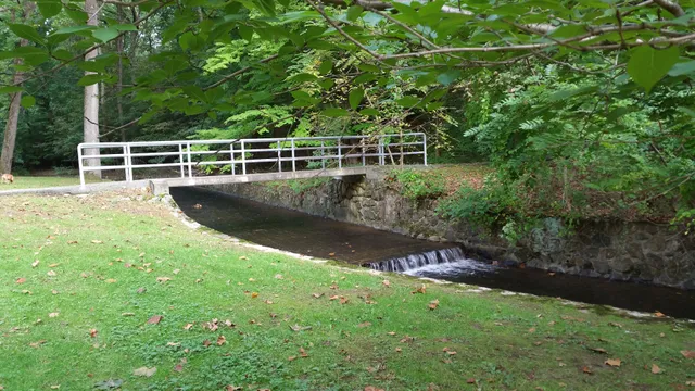 Grover Cleveland Park Tennis Courts