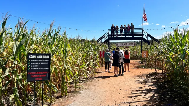 Shelby Corn Maze