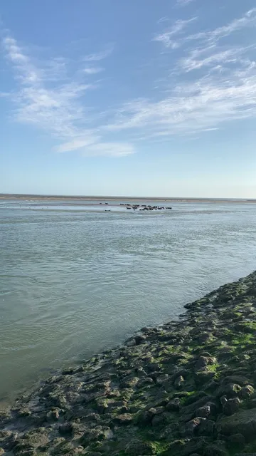 APPARTEMENT VOLTING BERCK SUR MER