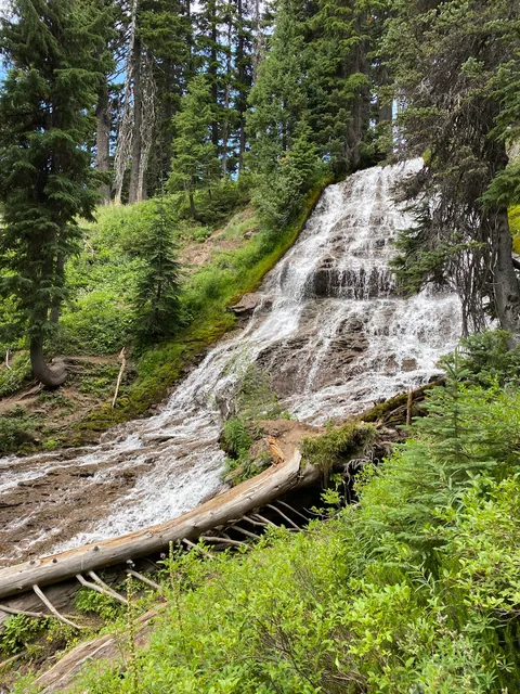 Umbrella Falls Trail #667 Trailhead