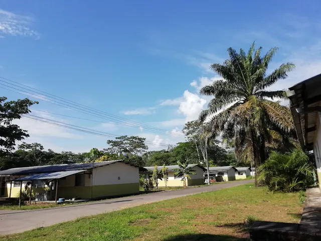 JUNGLE BATTALION 56 TUNGURAHUA