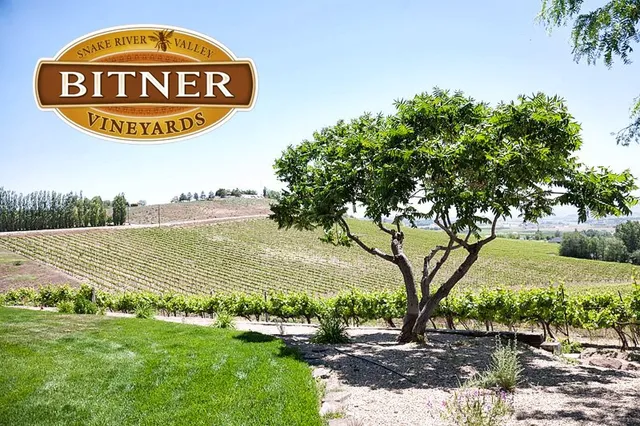 Bitner Vineyards