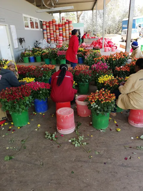 Mount Meru Flowers Ltd