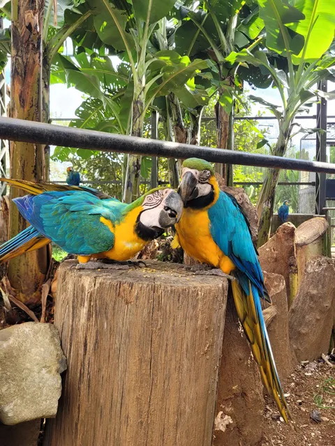 Parque Zoo das Aves