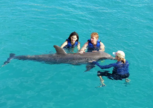 Oahu Swim with Dolphins Tour & Ticket