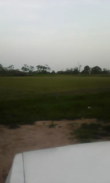 Parador Turístico El Tapir