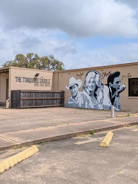 The Turquoise Saddle