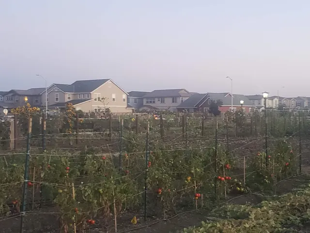 Patterson Ranch Community Center