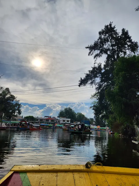 Canales de xochimilco